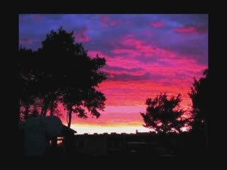 LUMINITA SOARE: "MOSULE, TE-AS INTREBA"