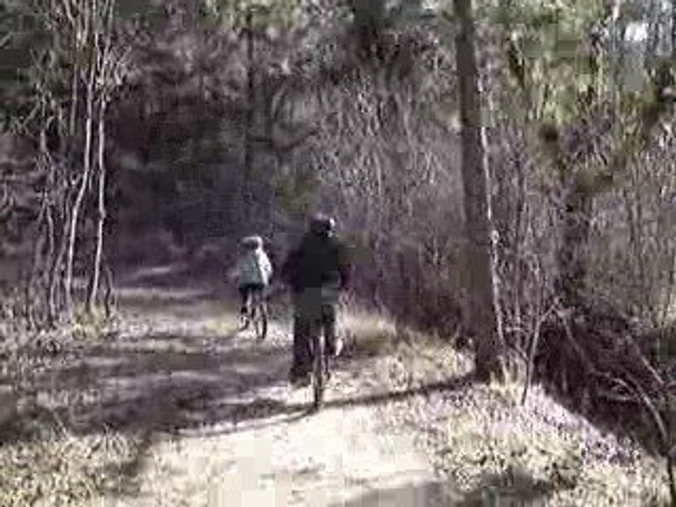 MOV06035