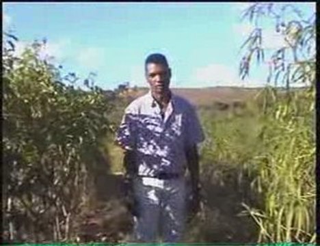 Ejema (Mbola Hambarako Anao)