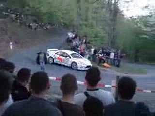 spectateur abrutis rally