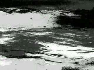 l'effet papillon