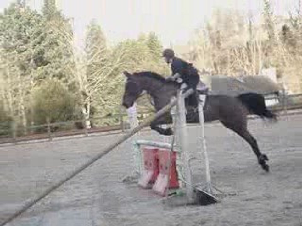 cour de saut du 8 mars