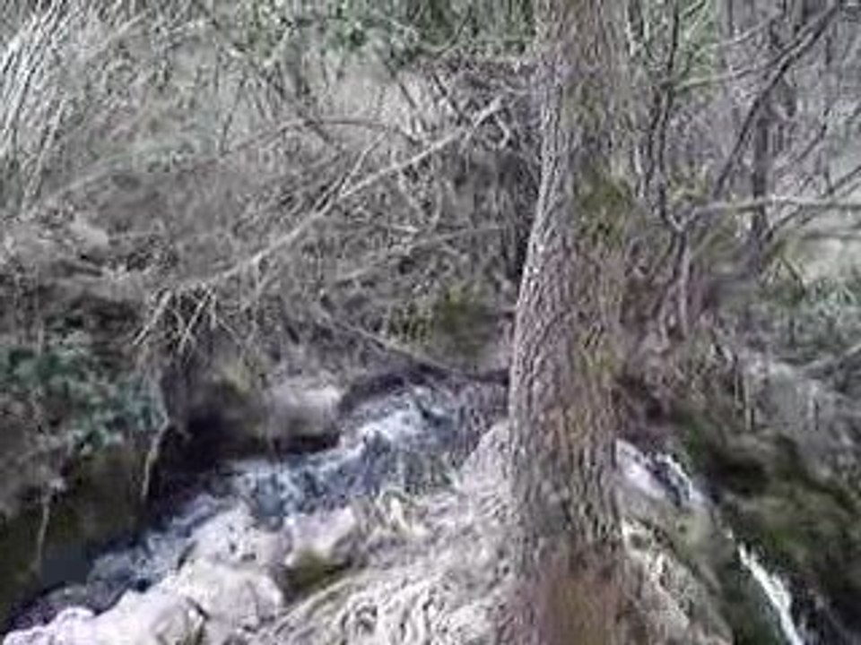 MOV06157