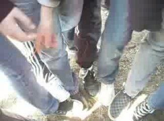 Nous...avec nos converse!!