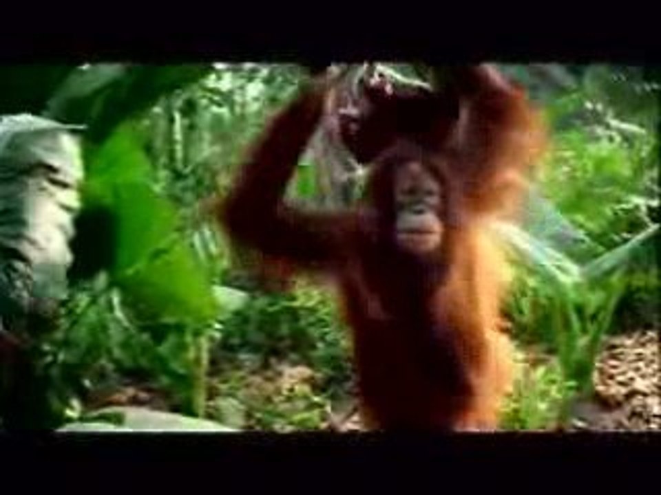 Vidéo Carte de crédit!!!