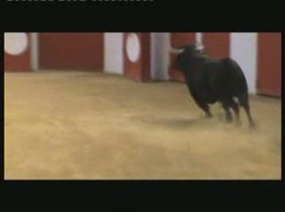 Arzacq : Festival taurin 2009