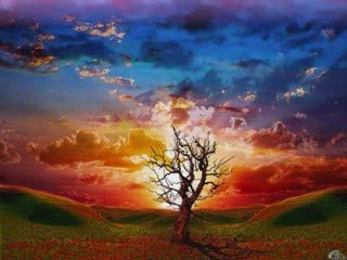 Changer d'air Thierry Amiel