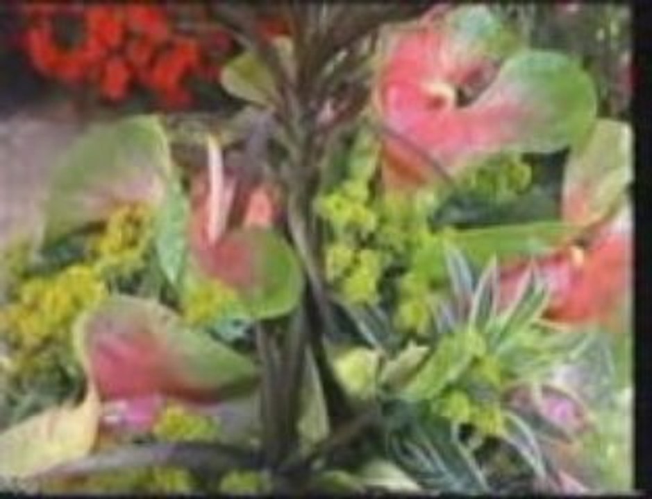 Expo florale 2001