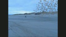 Vidéo Kitesurferscrew : Session MTB, Buggy, Kite Bray Dunes