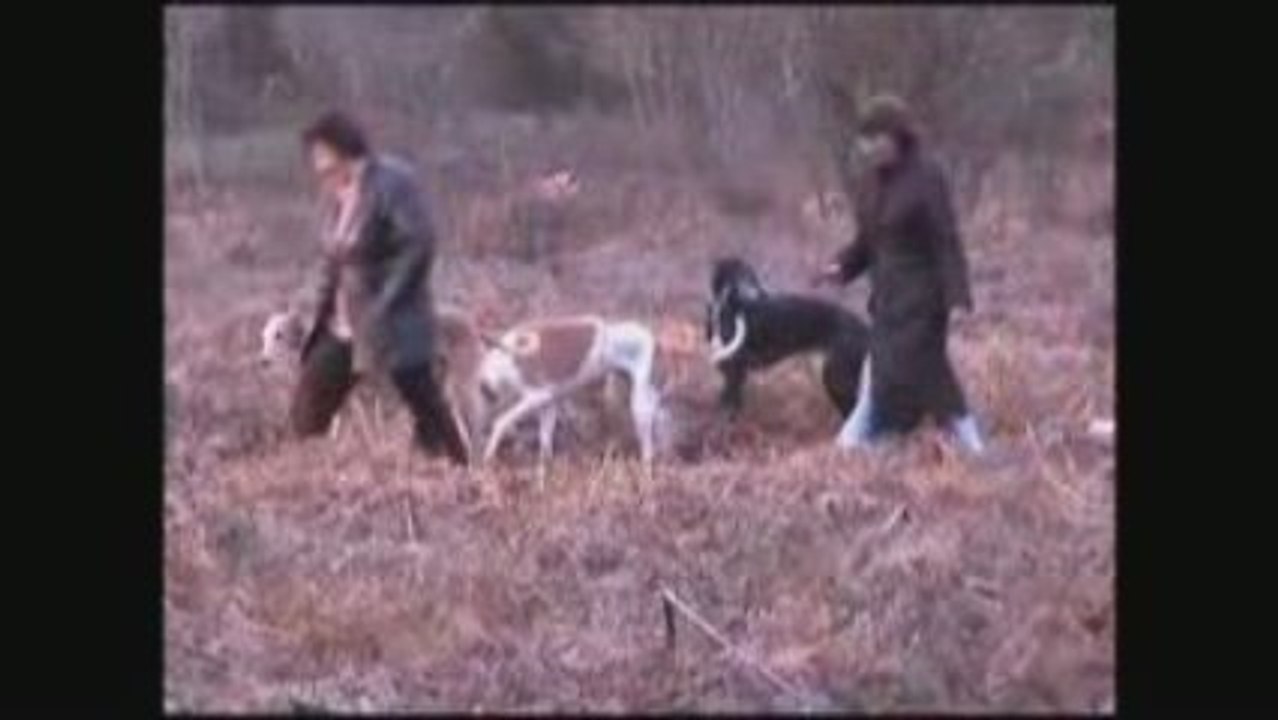 Présentation de l'association Galgos France