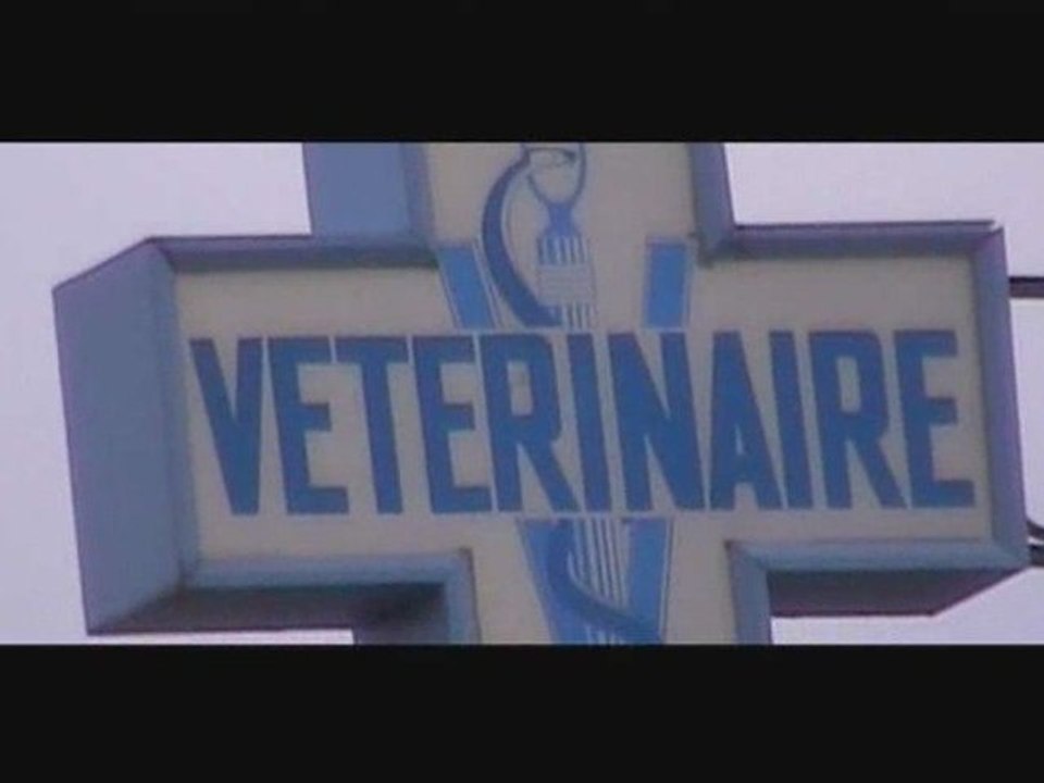 Clip Prévention Kétamine Concours 2008