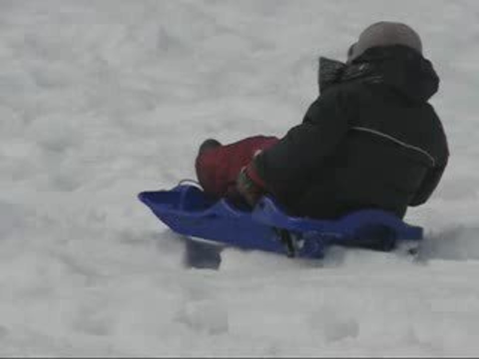 Luge