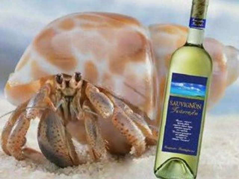 GREEK WINES & DRINKS & SPIRITS - WINES FROM GREECE  TSANTALI