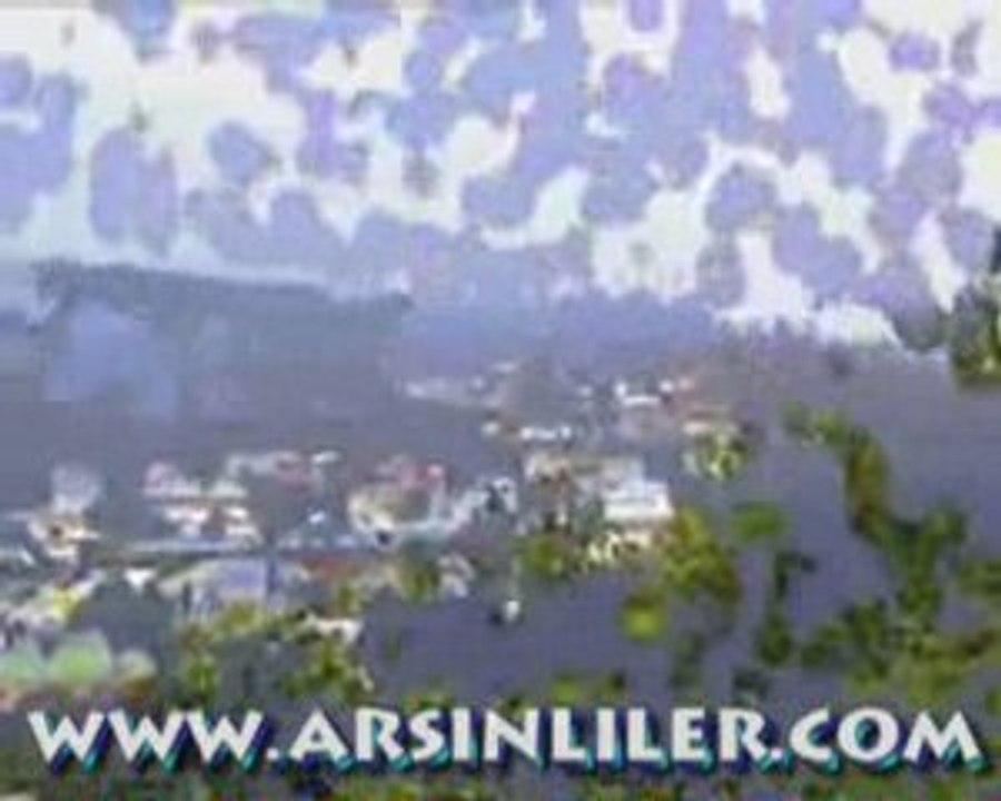 Arsin1