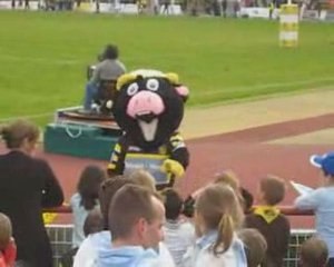 Choc des mascottes