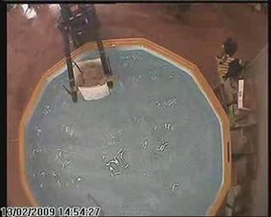 Test résistance Piscine Ulysse 7 Piscinelle