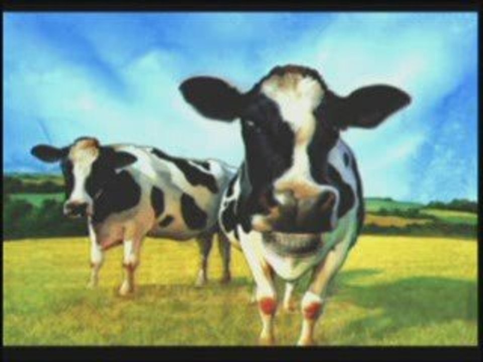 Vidéotest Earthworm Jim 2 ( Snes )