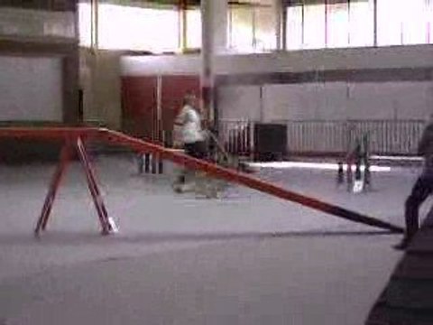 Absie des Côteaux du Lys