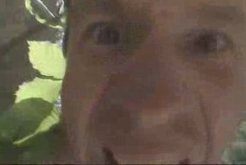 Le fils caché de DSK