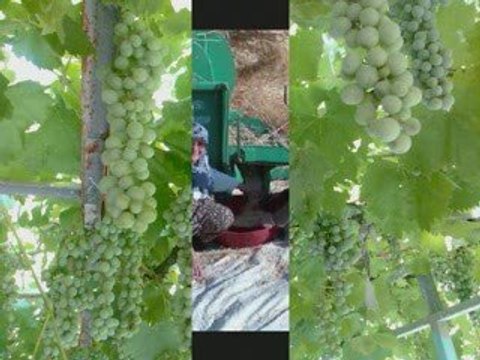 AKSEKİ SADIKLAR KÖYÜ