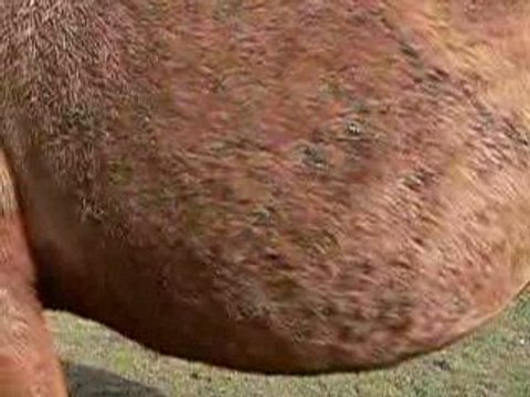 bébé qui bouge 11 mars