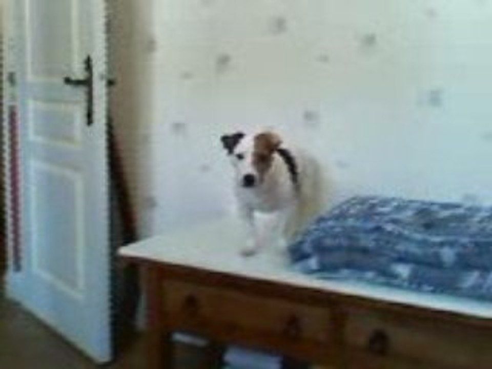 Cahuet n'aime pas Mika !!