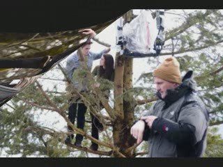 twilight tournage de la scène dans les arbres