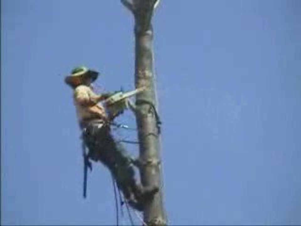 BUCHERON TERRIBLE ACCIDENT