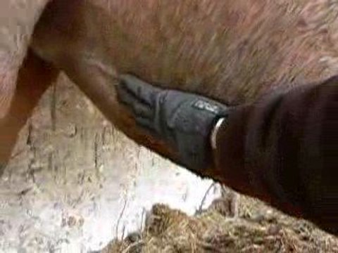 bébé qui bouge 11 mars