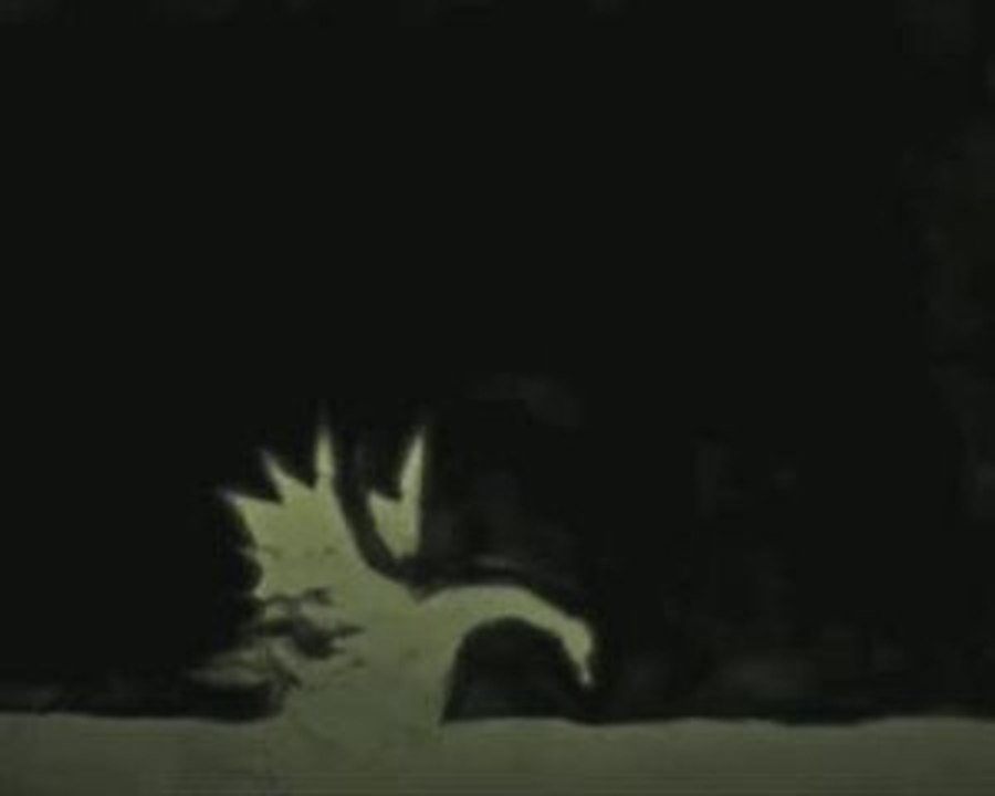 Prima Ballerina Assoluta