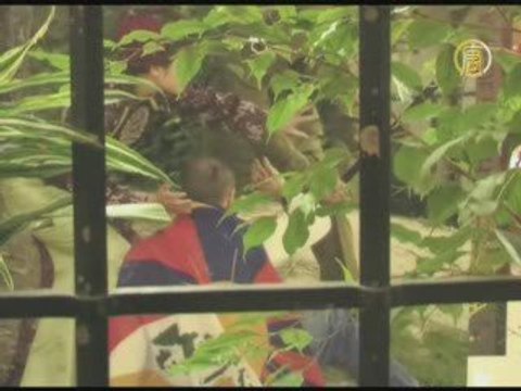 Мода и права человека