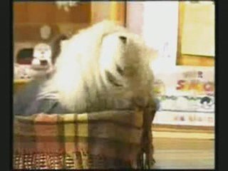 Sambal&B.R.A.T.T. come back trailer (voice-over)