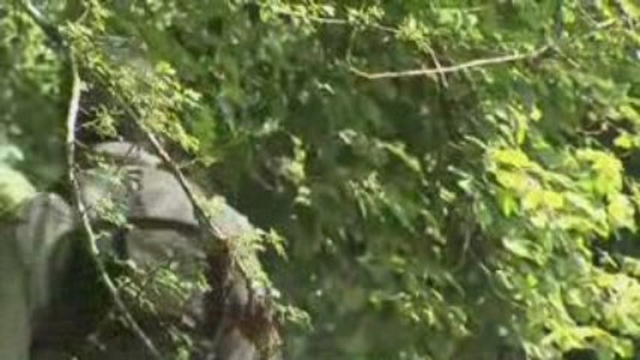 Pêche à la truite dans les gaves des Pyrénées