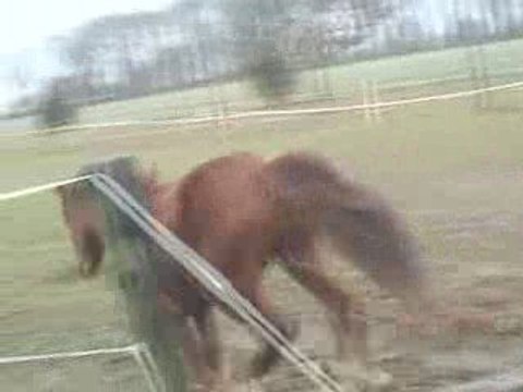 Kawa et Compagnie présente : Travail et Débourrage