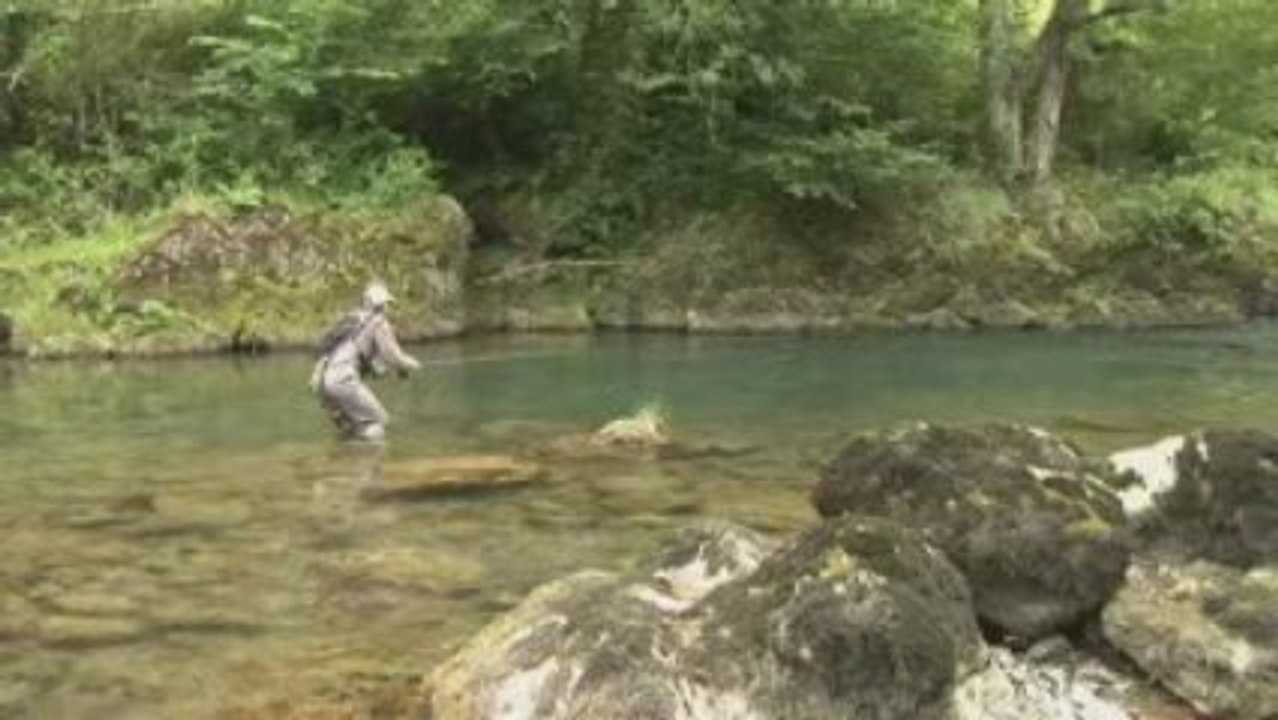 Pêche à la truite dans les torrents du Béarn Pays basque