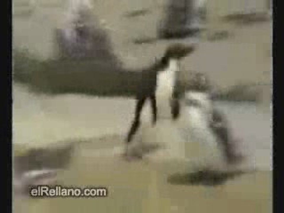 Vidéo La différence entre le début et la fin