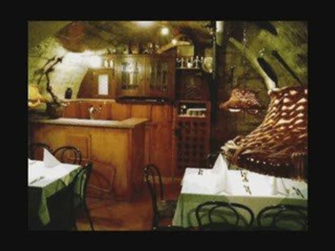 LUMINITA SOARE LELITA FLOARE-MUZICA LAUTAREASCA VECHE