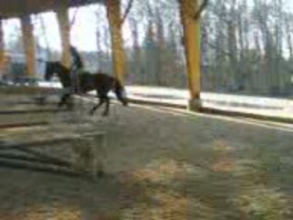 Magica sur le plat - mars 2009