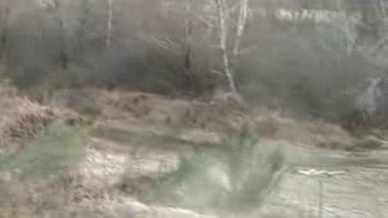 350 raptor et 250 suzuki