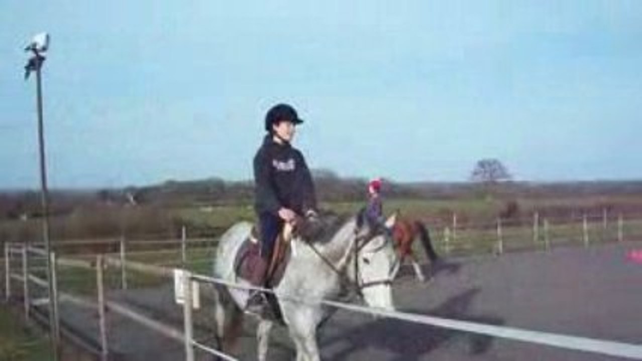 cours d'équitation 2