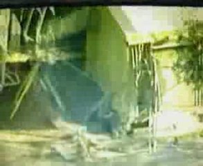 John Robert Patterson vs GSM