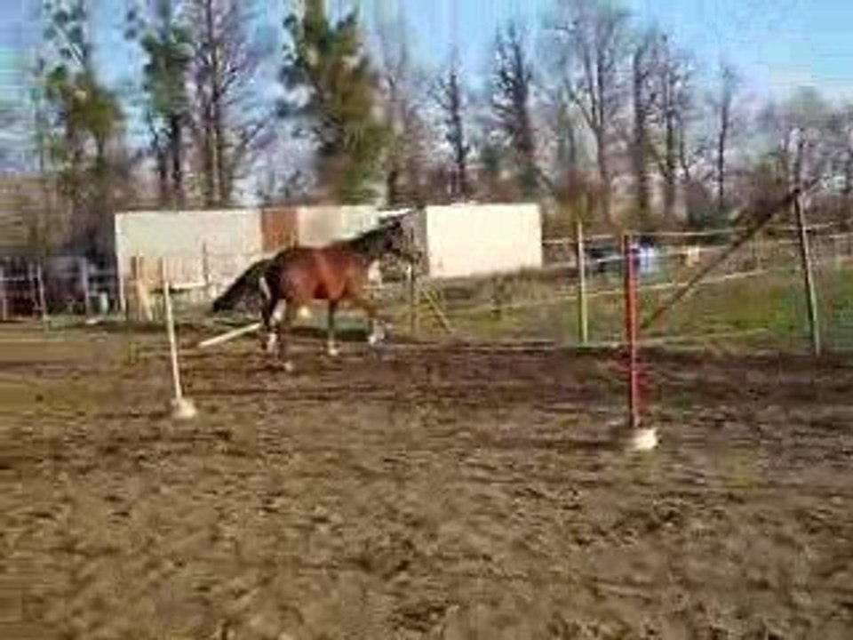 MVI_1141