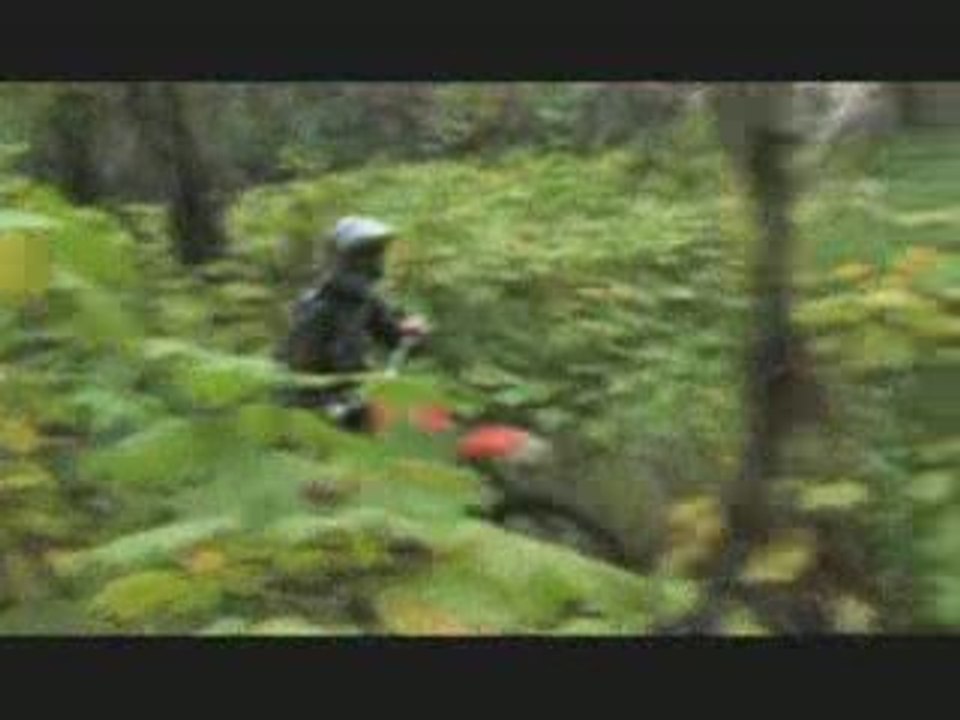 Freeride alaska