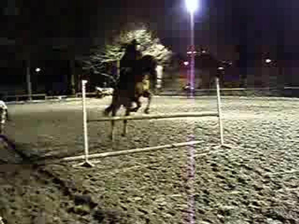 Cours du 09.03.08