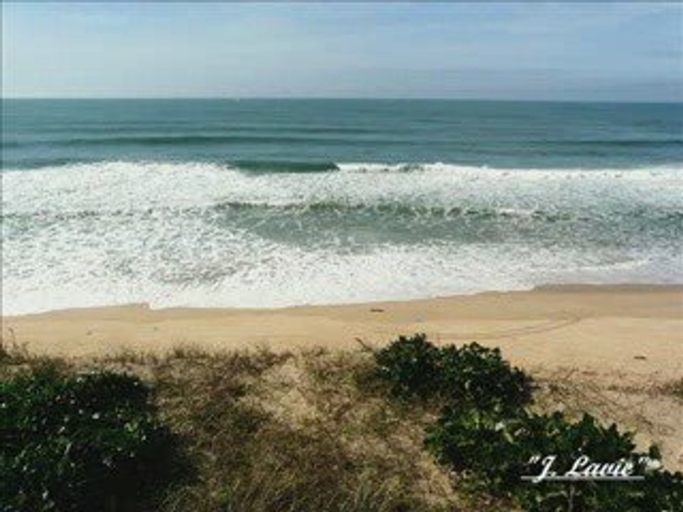 Promenade. la côte landaise,