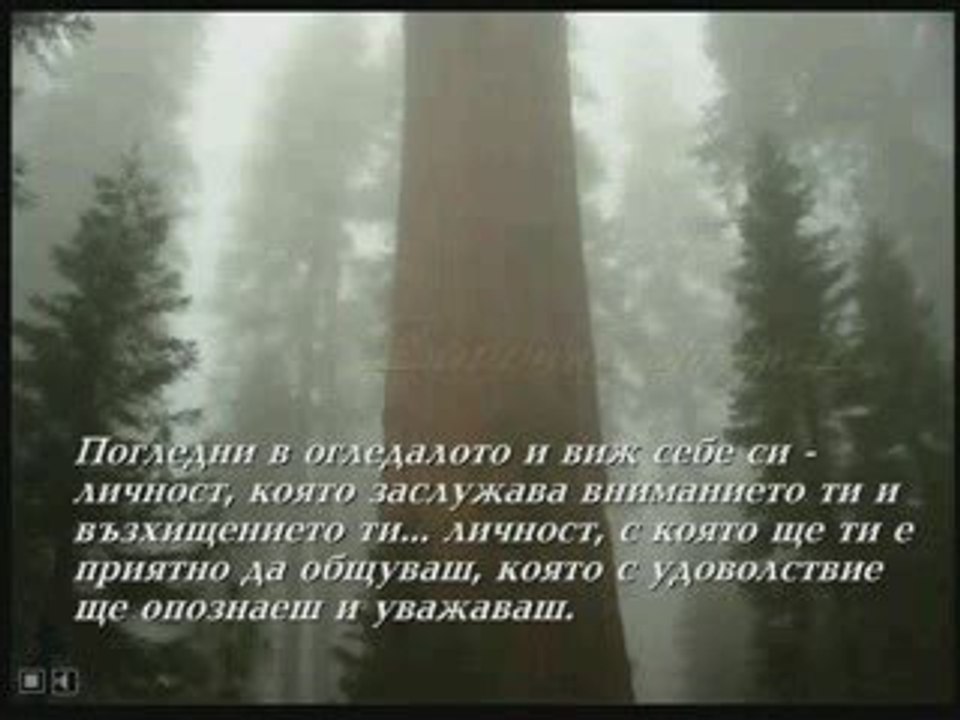 Започни от днес              __(:-TONIA-:)__