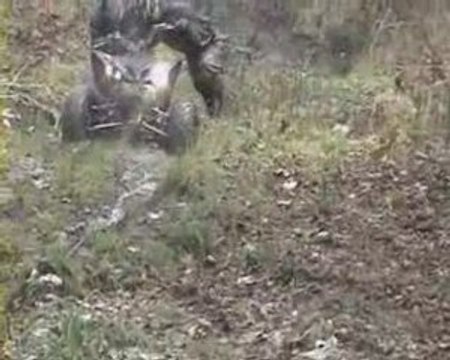 Sortie quad du 07-03-2009-