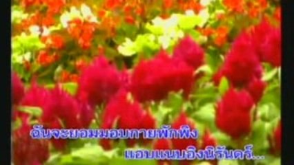 JAI RUK - Orawee Satjanon.