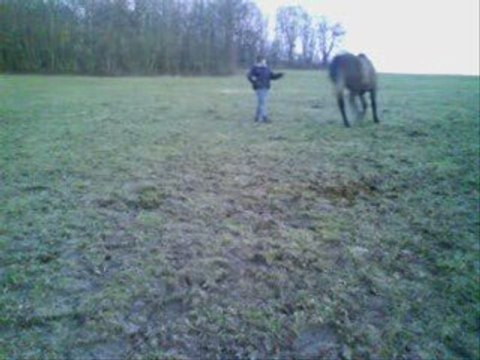 RAMSES - EXTRAITS VIDEO