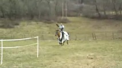 Jeu de l'anneau à la lance equestre